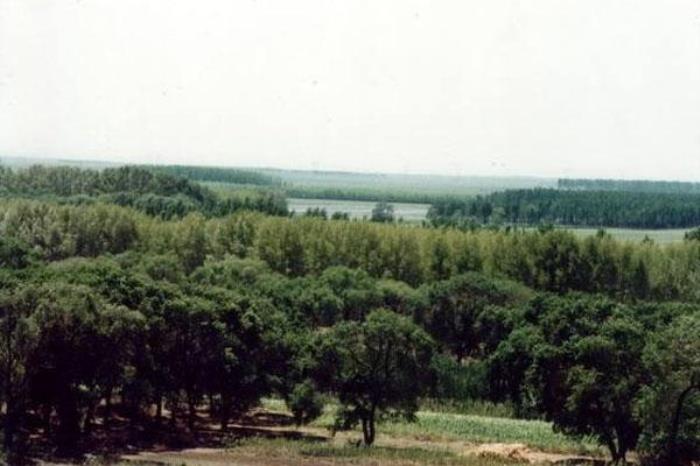 青松山雞狩獵場
