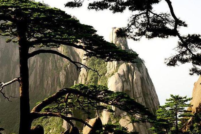 青松山雞狩獵場