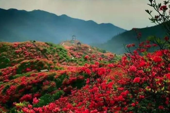 大圍山國家公園