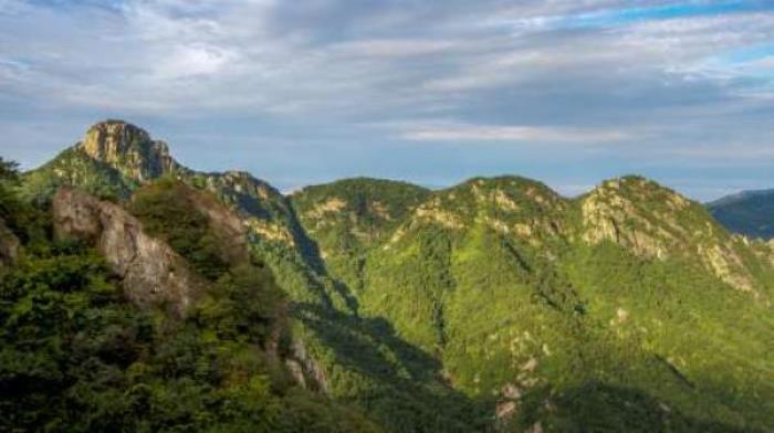 南陽西峽老界嶺風景區
