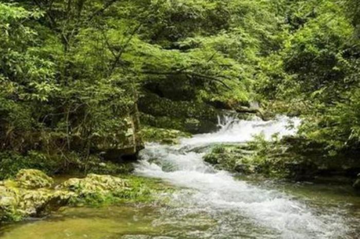 井岡山龍?zhí)毒皡^(qū)