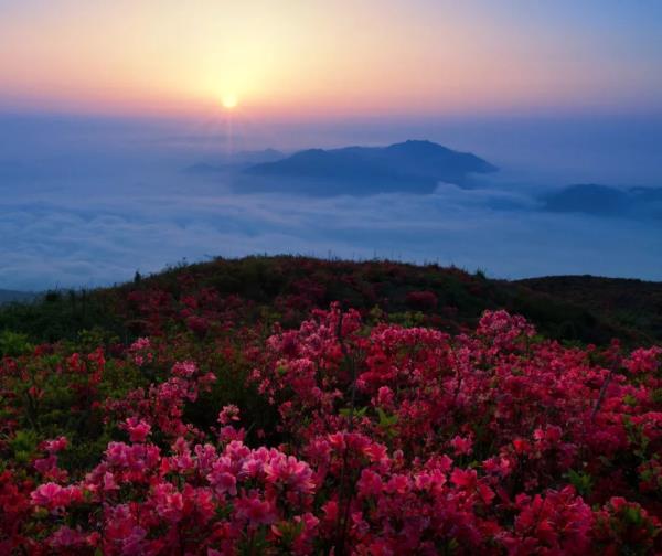 江西圣井山景區(qū)