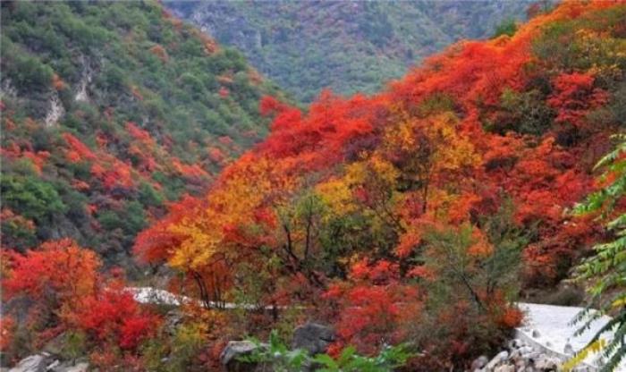 咸陽鄭國渠風景區