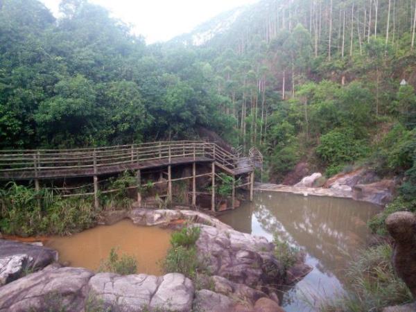 紫蓮森林度假村