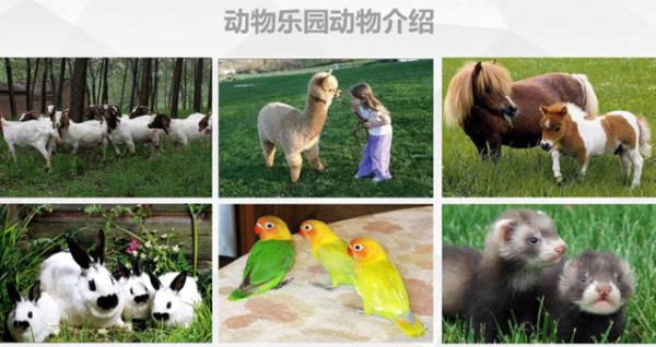 紫蓮森林度假村