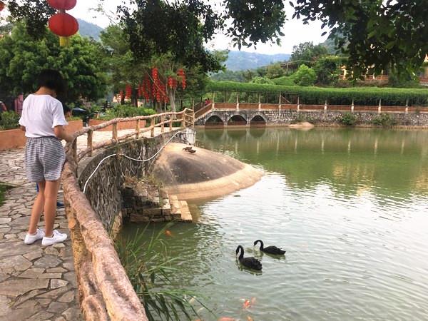 紫蓮森林度假村