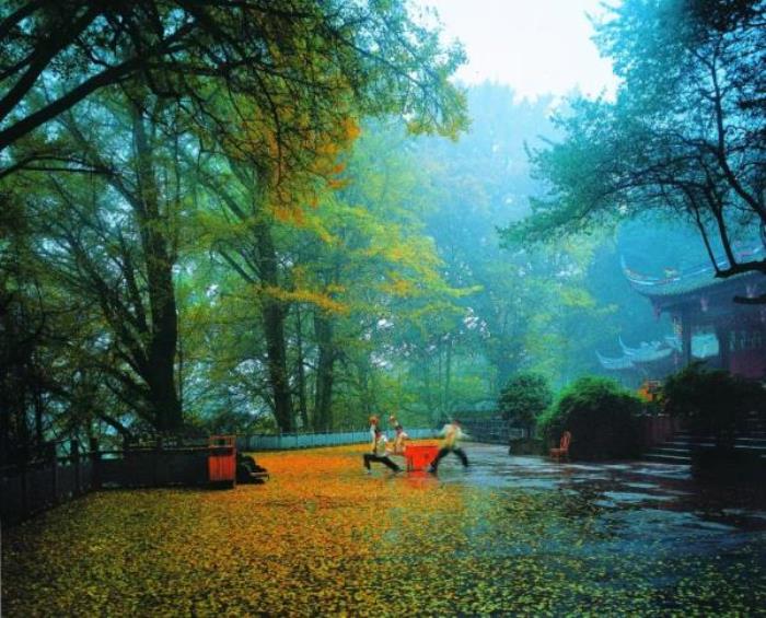 雅安蒙頂山