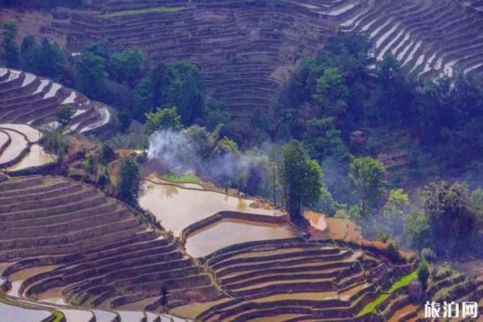 元陽(yáng)哈尼梯田景區(qū)