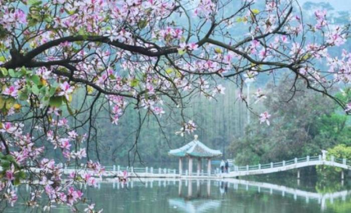 星湖旅游景區