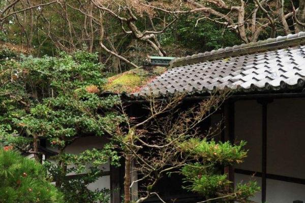 大德寺雙塔