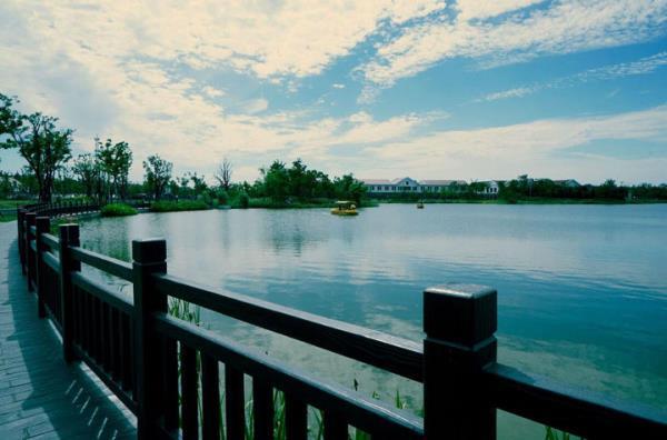 上海長興島郊野公園