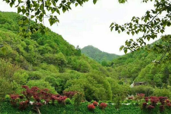 秦嶺悠然山高山濕地景區