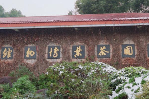 中國茶葉博物館