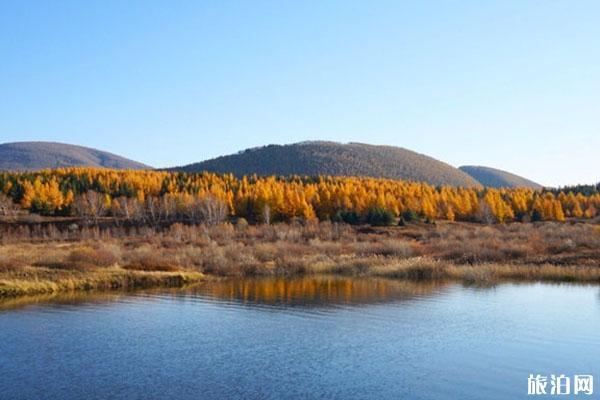 黃崗梁國家森林旅游區(qū)