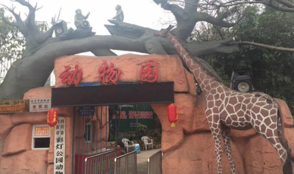 自貢-彩燈公園動物園