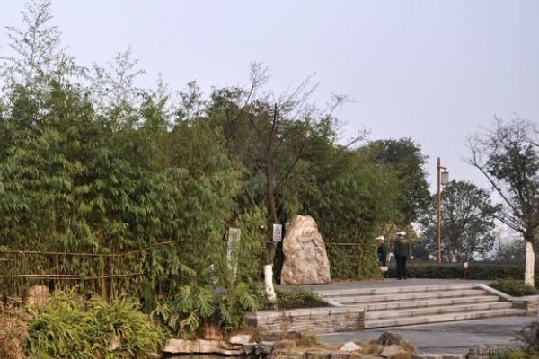 法界寺森林公園