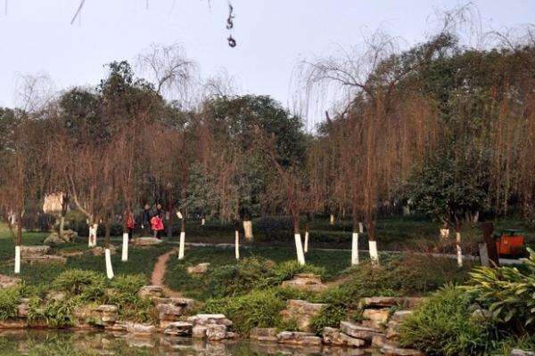法界寺森林公園