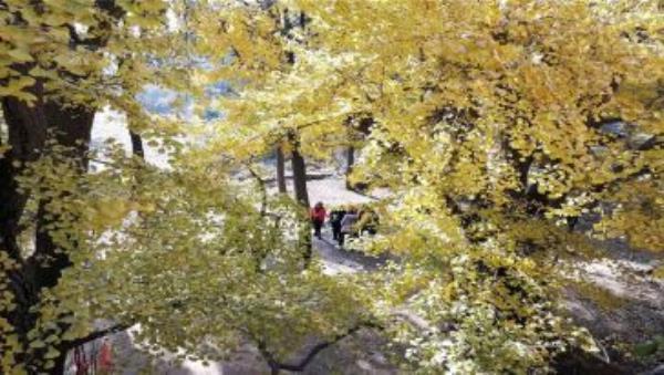 白云寺國家森林公園
