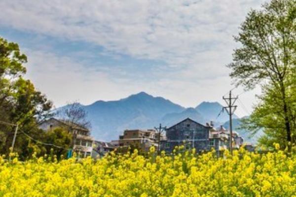 茗岙梯田
