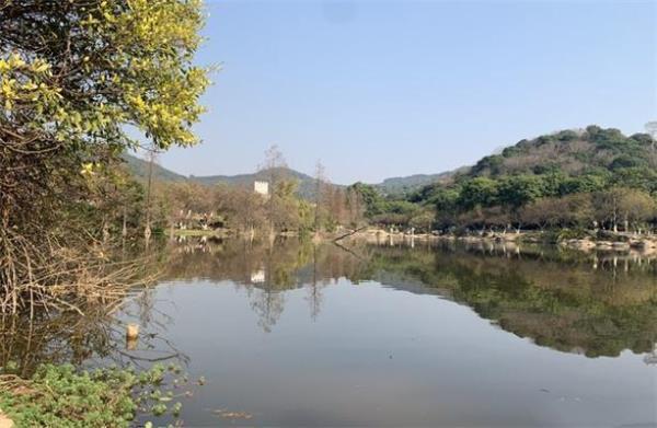 蘿崗香雪公園