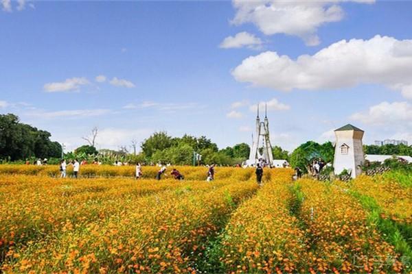 廣州海珠國家濕地公園
