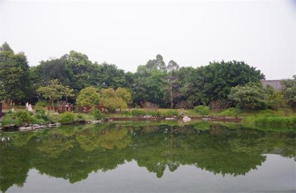 廣州海珠國家濕地公園