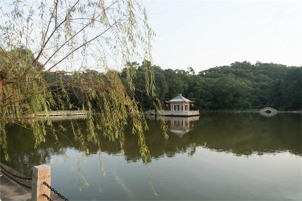 暨南大學