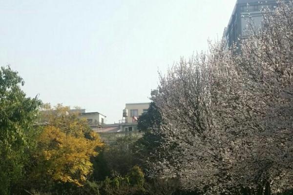 寶海公園
