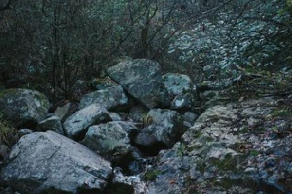 清涼峰國家級自然保護區(qū)