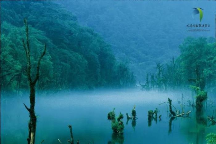 龍蒼溝國家級森林公園