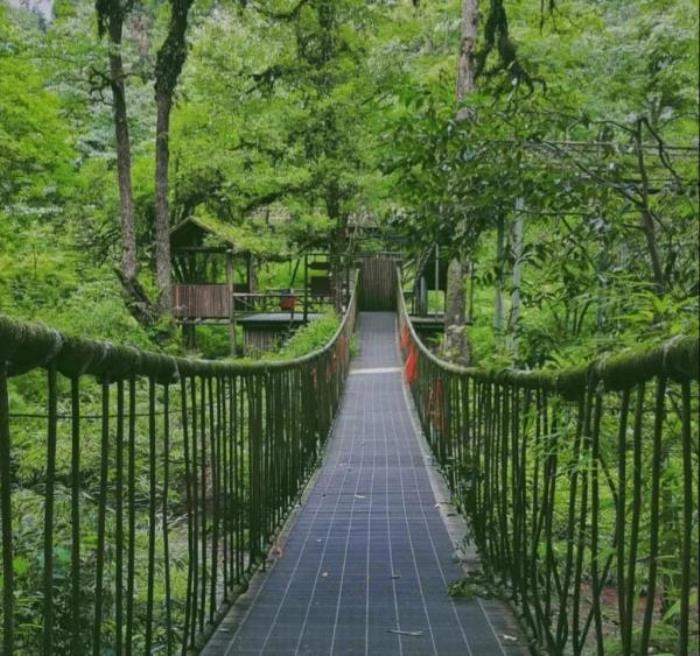 龍蒼溝國家級森林公園