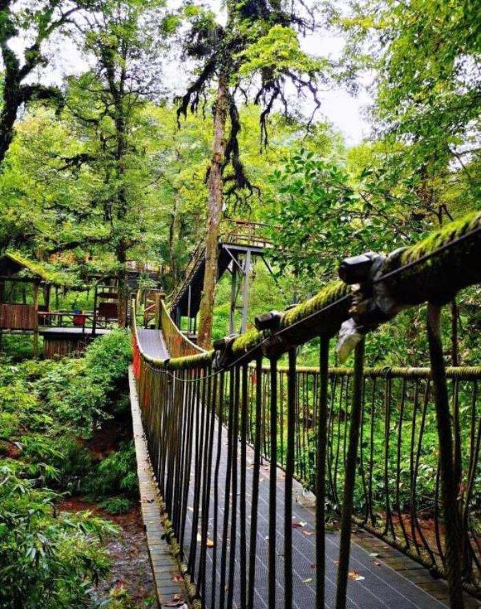 龍蒼溝國家級森林公園