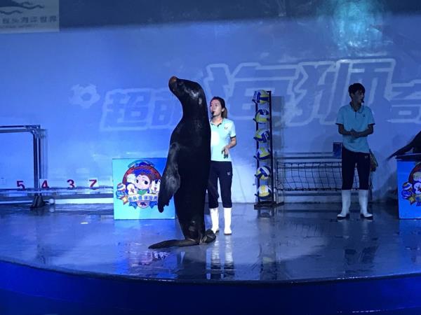 包頭海洋世界