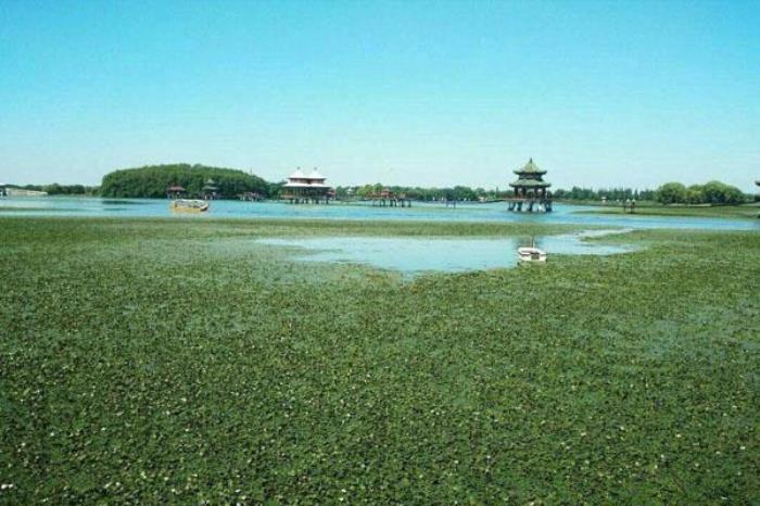 五里湖生態濕地公園