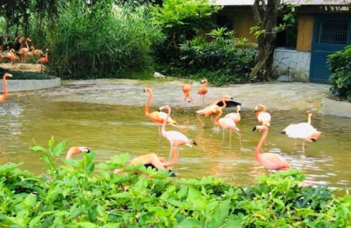 肇慶星湖濕地公園