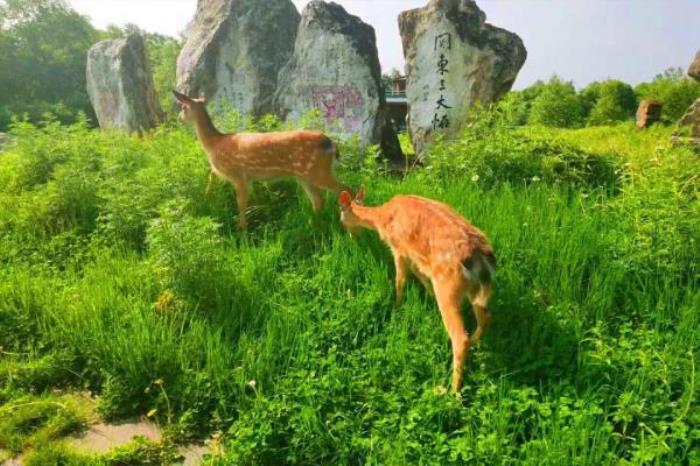 長白山狩獵度假區(qū)