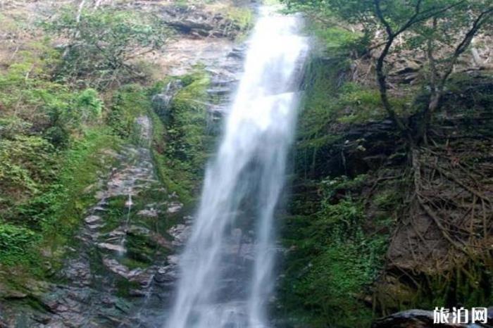 云南瑞麗莫里熱帶雨林風(fēng)景區(qū)
