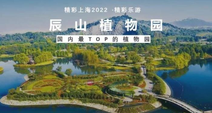 2022《精彩上?！仿糜温?lián)票