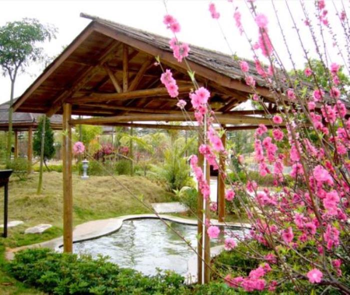 臺山康橋溫泉