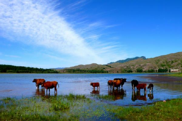 蘆芽山風(fēng)景名勝區(qū)