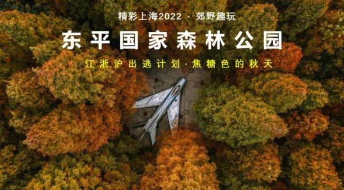 2022《精彩上?！仿糜温?lián)票