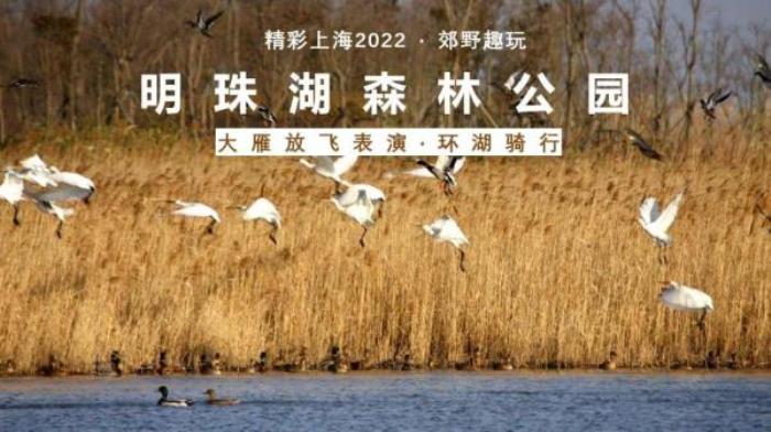 2022《精彩上?！仿糜温?lián)票
