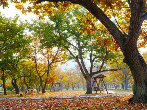 北京黃花城水長城