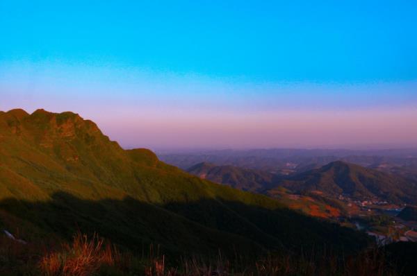 太陽坪映山紅景區