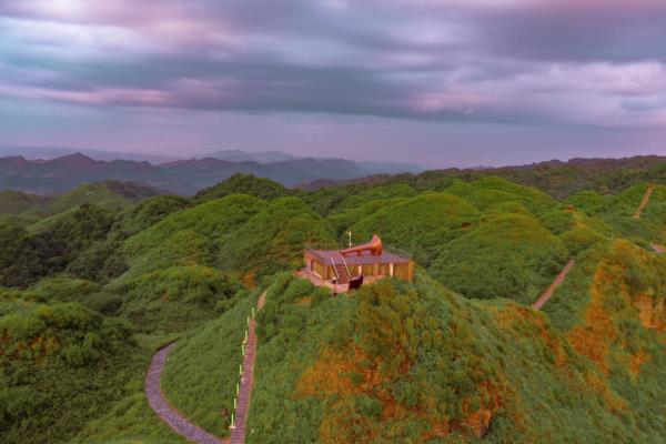 太陽坪映山紅景區