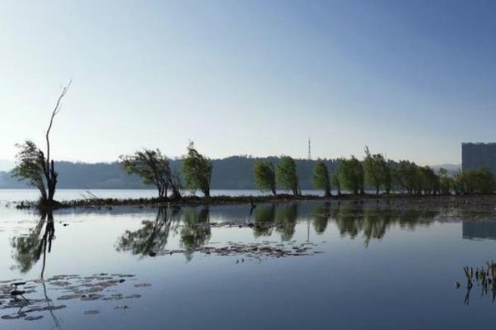 洱海月濕地公園