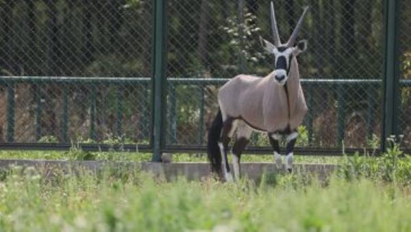 宿遷動物園