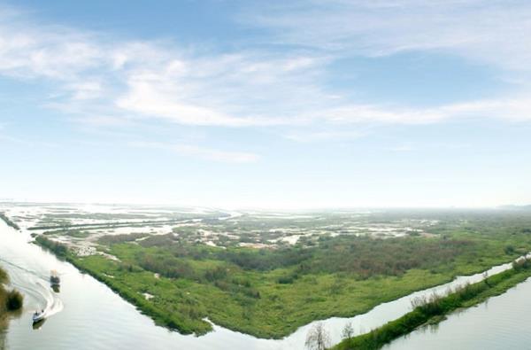 泗洪洪澤湖濕地