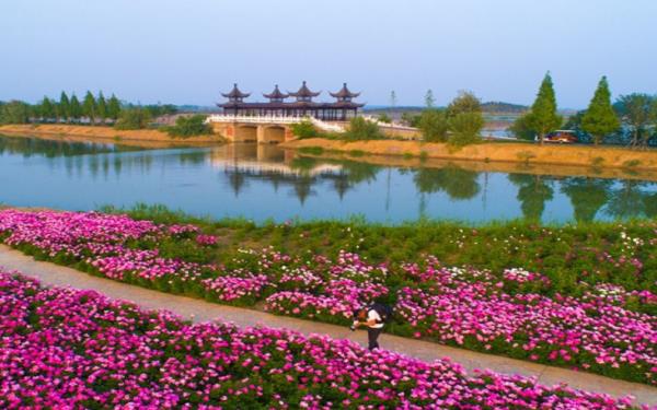 泗洪洪澤湖濕地