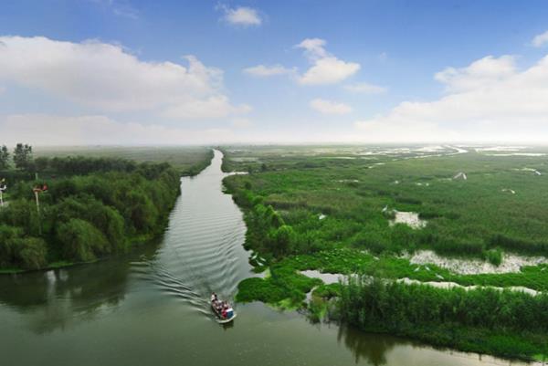 泗洪洪澤湖濕地